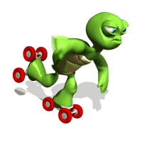 turtle.gif
